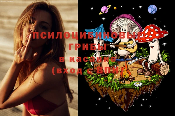 винт Алзамай