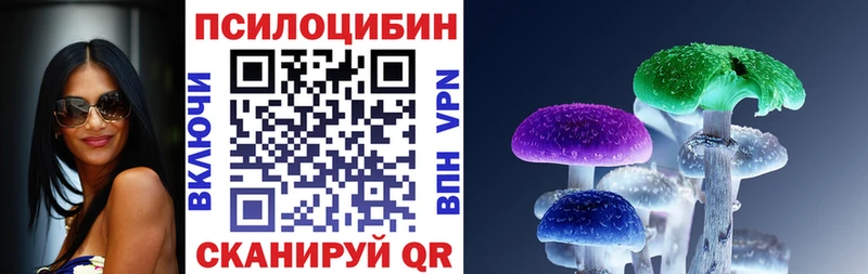 Галлюциногенные грибы Cubensis  хочу   Апшеронск 